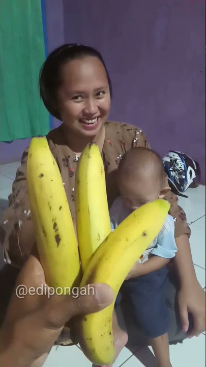 Story WA Lucu, Entah Apa Yang Merasukimu, video ngapak