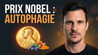 Prix Nobel Les 7 Aliments Qui Activent Lautophagie Sans Jeûner