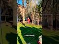 Foot-Volley #brazil #meme #football #footballskillschallenge #soccer #soccershorts #skills