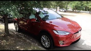 Day 707 Tesla Ruby Participates in a Meeting of the Minds