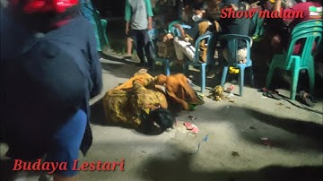 Show malam reog budaya lestari|dijeblug berit ds dongkal