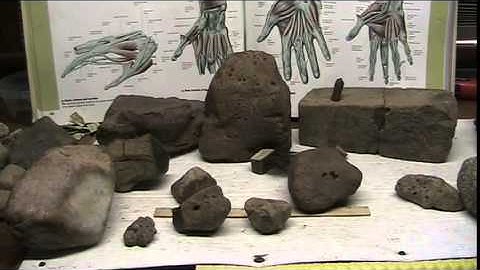 Mudfossils proven by DNA,Perfectly preserved soft tissue fossil discovery in Ct USA