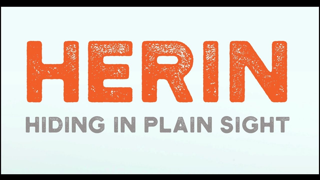 Chris Herin: Warning Signs (feat. Michael Sadler [Saga] & Jeff Kollman)