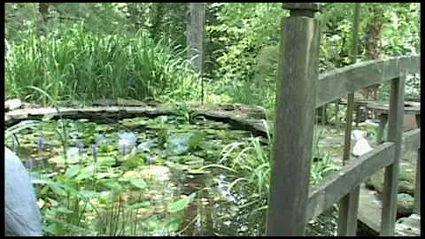 Visit With Elizabeth Peters in Her Home Garden
