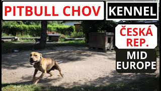 PITBULL KENNELS II. 2020 - Anathema chov pitbuteriérů  - Kennel of Czech Republic (Central Europe)