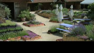 Kwekerij Bastin, Planten En Tuin