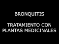 Bronquitis. Tratamiento con plantas medicinales #10
