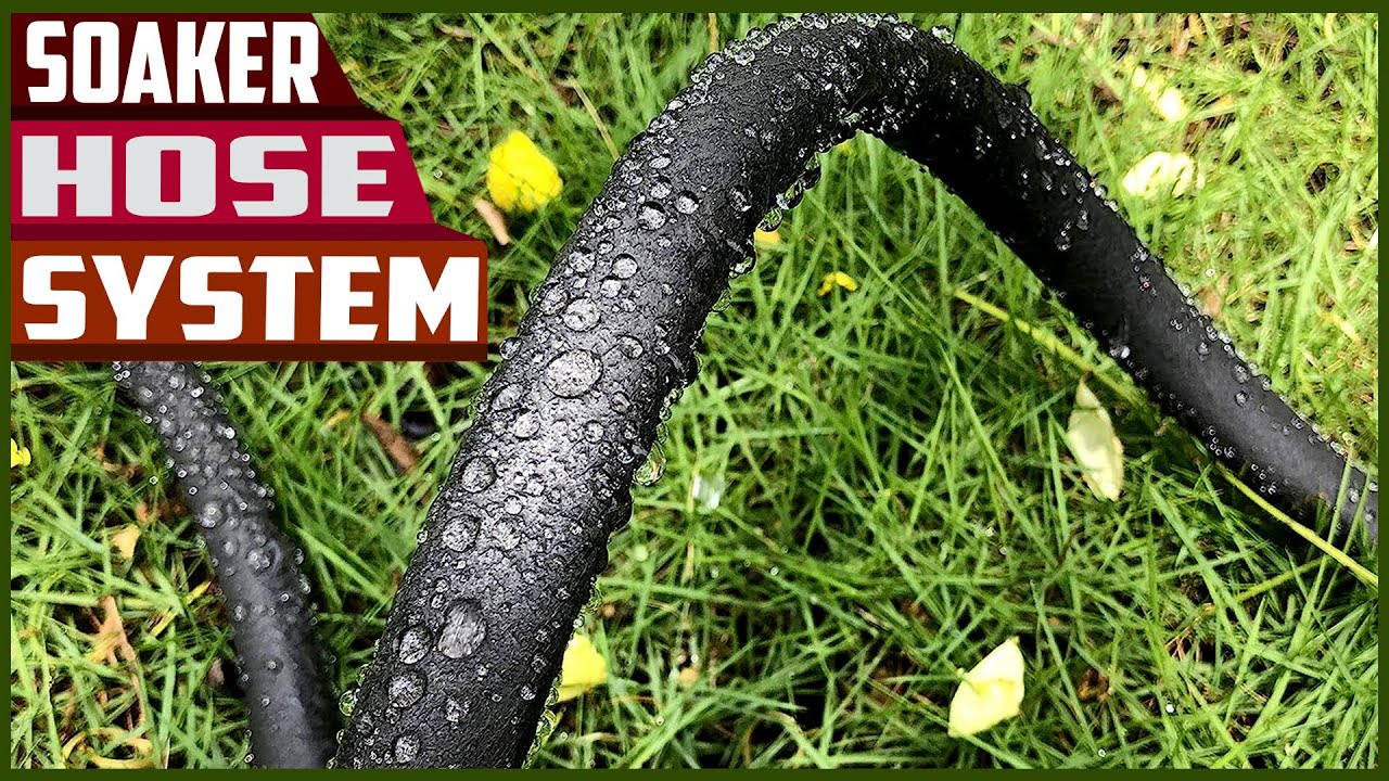 Top 5 Best Soaker Hose System in 2023 reviews