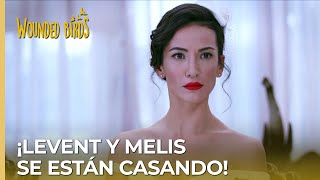 ¡Levent y Melis se están casando! | Omer Sueños Robados Capítulo 194