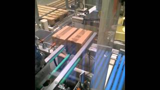 Ilsemann Cartoning and Palletizing System
