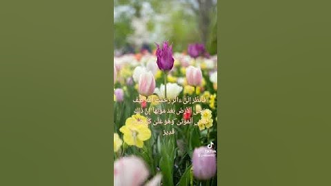 فانظر إلى آثار رحمت الله كيف يحيي الأرض بعد موتها إن ذلك لمحيي الموتى || سورة الروم || المنشاوي