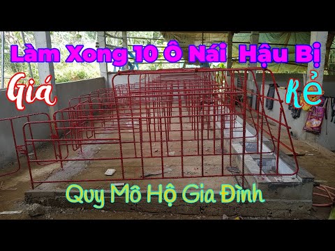 Video Chế Bản Lê ,Lắp Cửa Và Sơn Xong 10 Ô Heo Nái Hậu Bị... - youtube
