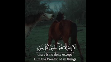 ذلكم الله ربكم  ماتيسر من سورةالانعام بصوت القارئ ياسر الدوسري