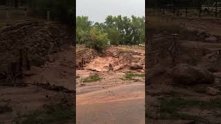 Flooding in Virgin Utah