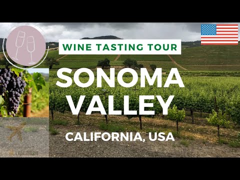 Video: Sonoma Atau Napa: Lawatan Wain Utara California Terbaik Untuk Pemasa Pertama