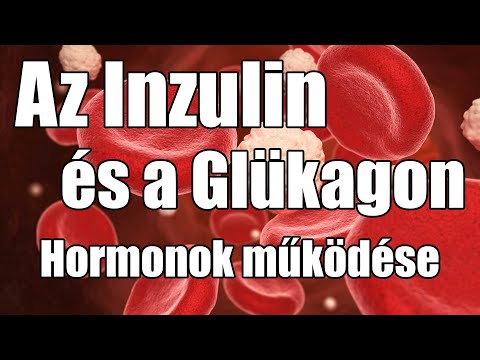 Videó: Inzulin és Glukagon: Hogyan Működnek?