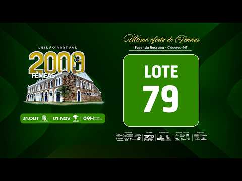 LOTE 79