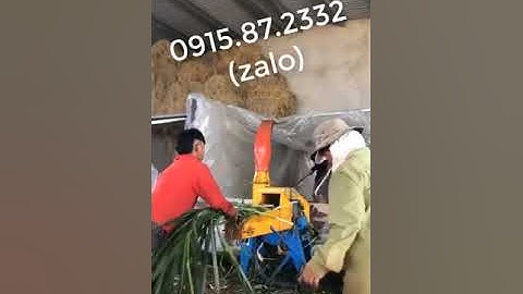 Máy băm cỏ, cà gai leo, thân ngô, thân mía,...Bình Quân, có băng tải chuyên dụng 0915872332