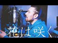 花は咲く / 花は咲くプロジェクト ( covered by 對馬健太郎 )