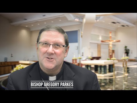 YouTube player
