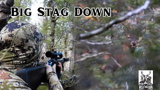 Hunting PEAK RUT | Getting in Close to Roaring Red Stags on a 5Day New Zealand Valley Hunt