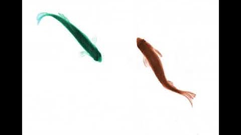 Zebrafish Socialization