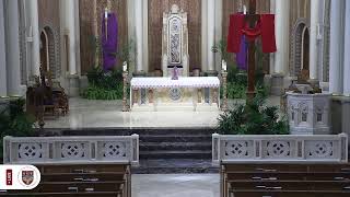Holy Mass - Friday 12:05p