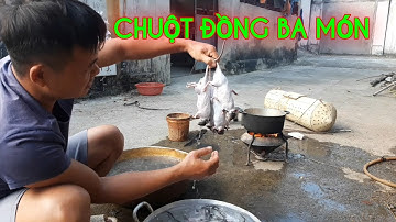 PHUC TV. chuột đồng ba món ngon tuyệt vời.