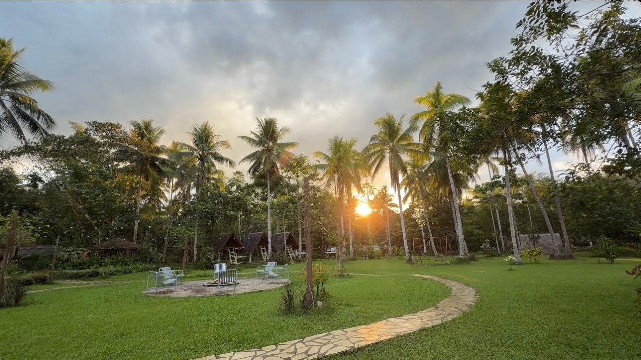 Campsite Farm Update: Progress and Coconut Trees Cleaning 