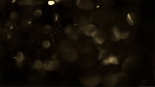 Light Leaks Element 308