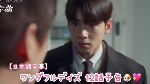［日本語字幕］ワンダフルデイズ🐶12話予告🩷