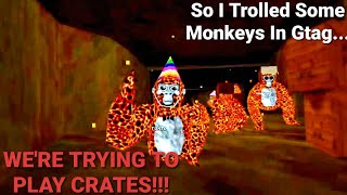 [Gorilla Tag] So I Trolled Some Monkeys In Gtag... - 2022-01-28 09:44:52 PM