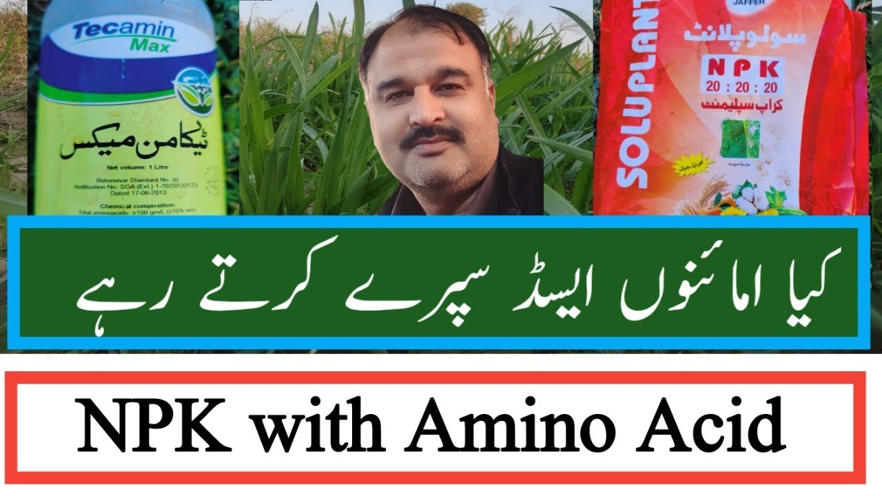 Amino Acid Spray For PlantsAmino Acid Spray NPK Foliar Spray