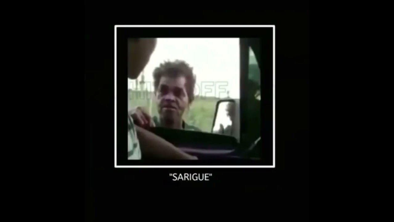 éé eu não pareso um sarigue 