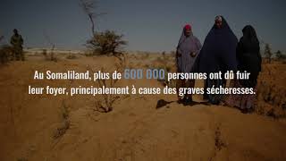 What Home Means Somaliland Acted