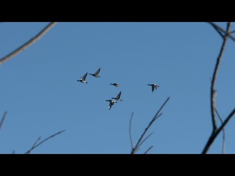 Timber Creek Outfitters Canada
