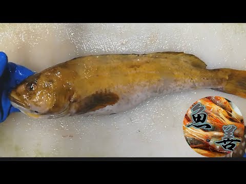 油子 アブラコ の捌き方 魚善 Uoyoshi Youtube