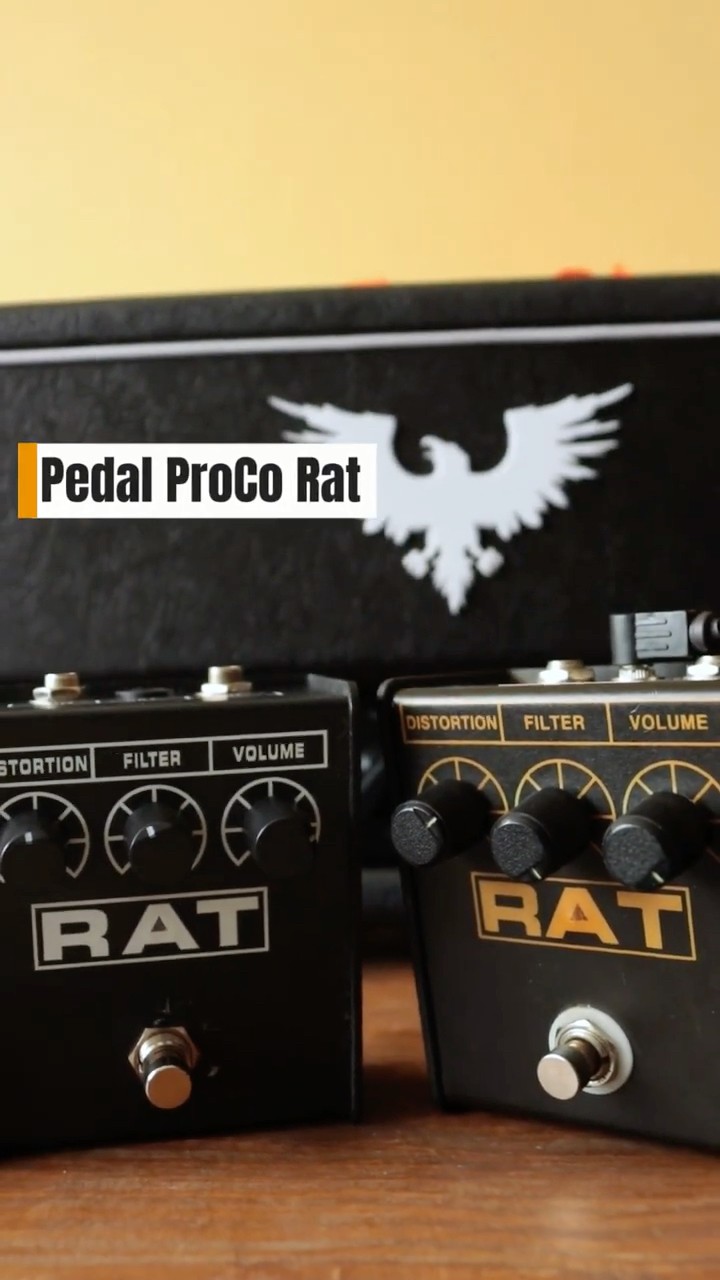 Por que TODO guitarrista precisa testar um ProCo Rat! 🐀⚡ - YouTube
