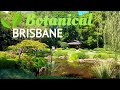 BOTANICAL BRISBANE... | Mt Coot-tha, Brisbane, Queensland, Australia Travel Vlog 068, 2021