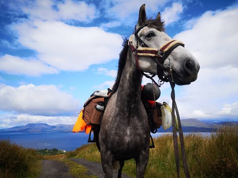 A trail horse in the making - Skye the Irish Draught Horse goes on her first overnight trail ride