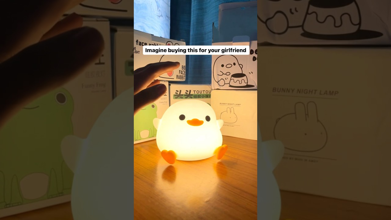 Duck duck lamp 