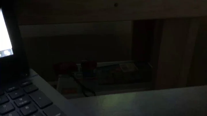 Danielle Springer Live Stream