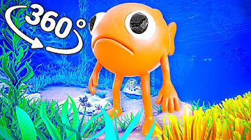 le poisson steve - Oceanic in 360° Video | VR / 8K | ( le poisson steve meme )