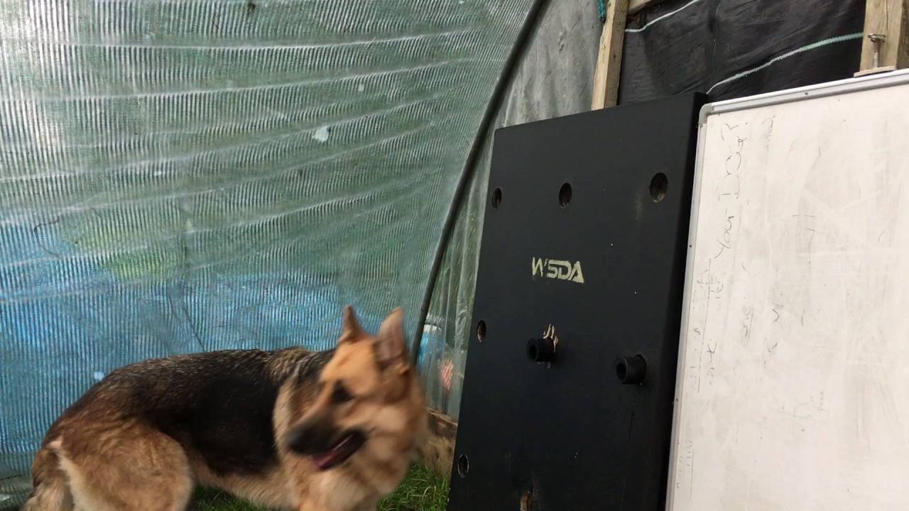 Frankie-  Passive Search 1 - WSDA - MAN HUNT