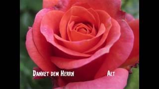 Danket dem Herrn - EG 333 A