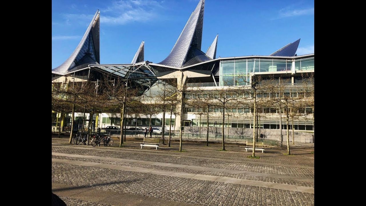 My Experience with LionMaker. YouTube