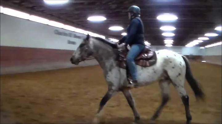 Kronus Roh Bear with Suzanne Hibbard NAWD Intro Te...