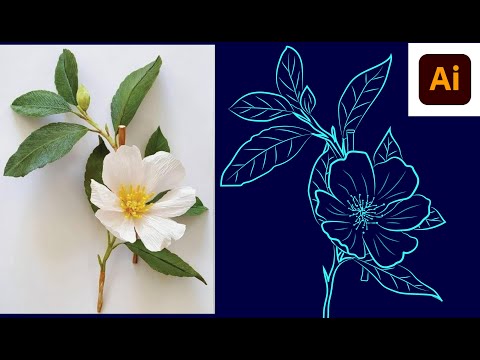 Draw a beautiful flower with a brush tool in Adobe Illustrator