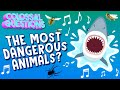 Caution which animal is the most dangerous   colossal songs