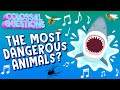 The Deadliest Animal Quiz
